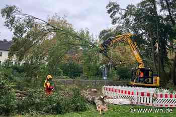 Sechste neue Brücke am Kanal: Bäume müssen der höheren Rampe weichen