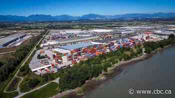'Chaotic situation': Cowichan decision appellants warn of possible impacts to port, property, fishing grounds