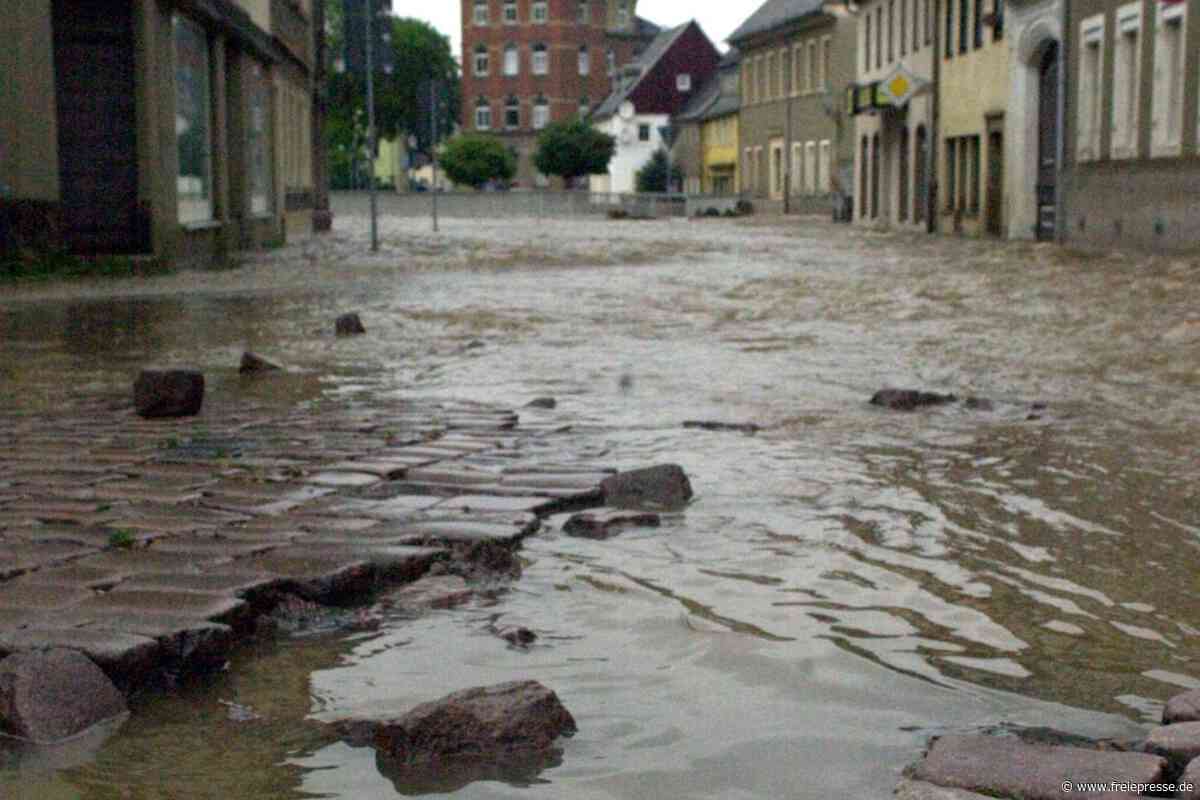 Kommentar zum Flutschutz in Hainichen: Dem Hochwasser ist die Förderquote egal