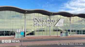 Airport purchase the best outcome, says campaigner