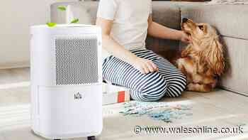 Dehumidifier that 'dries clothes quickly' so good shoppers 'bought a second one'