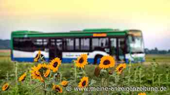 Ampertal-Linie wird erweitert: MVV-Bus fährt künftig von Moosburg bis nach Petershausen
