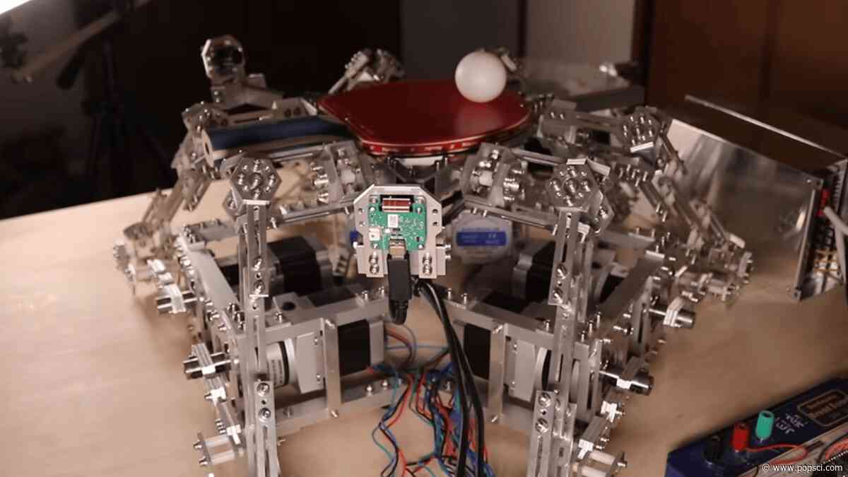 This robot exists solely to bounce ping-pong balls
