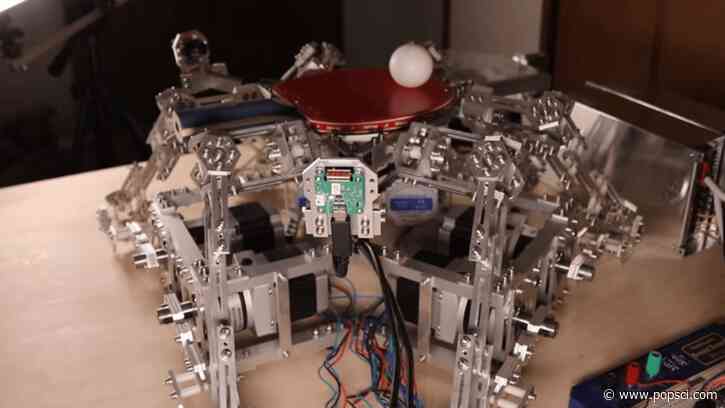 This robot exists solely to bounce ping-pong balls