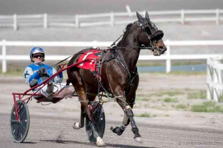Lower Mainland harness driver killed in crash