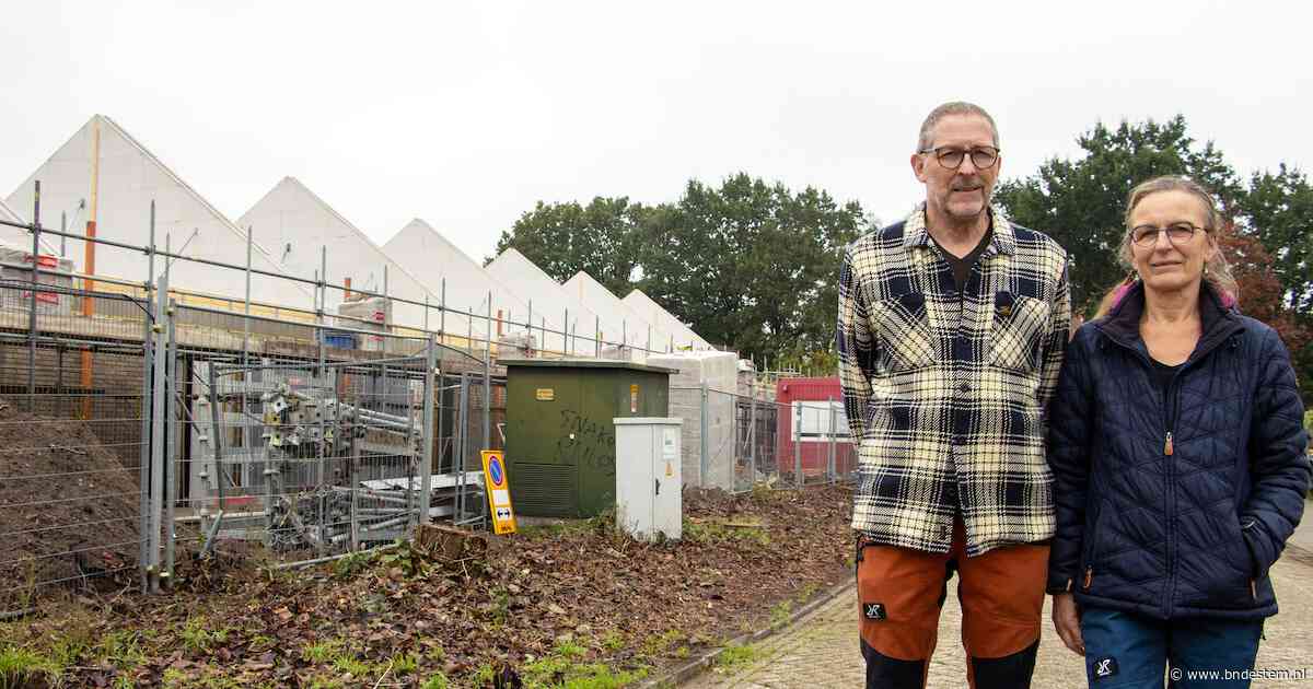 Woede en ongeloof bij bewoners van de Jankenberg na onverwachte bomenkap: ‘Zo ga je niet met je inwoners om’