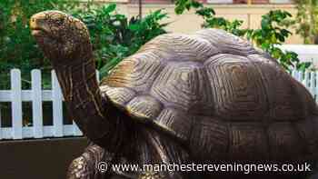 Manchester gets a new free animal sculpture trail in time for October half term