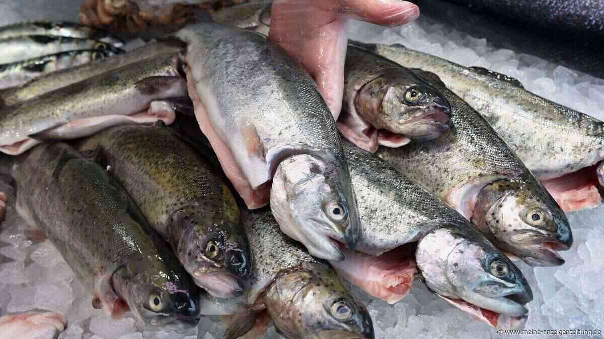 Neue Strategie: EU-Kommission will Kurswechsel bei Fischfang