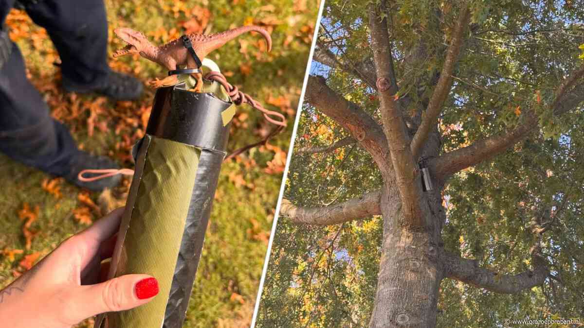 Politie rukt uit voor explosief in boom, maar het blijkt iets heel anders