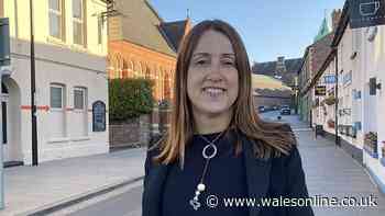Jane Dodds to stand down as leader of Welsh Liberal Democrats