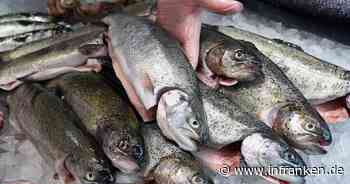 Neue Strategie: EU-Kommission will Kurswechsel bei Fischfang