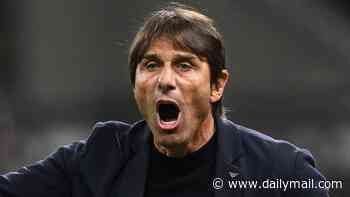 'Boring' training sessions, four-hour meetings and annoying the owners: 'Crazy' Antonio Conte would be a 'DISASTER' at Man United, claims Ashley Young