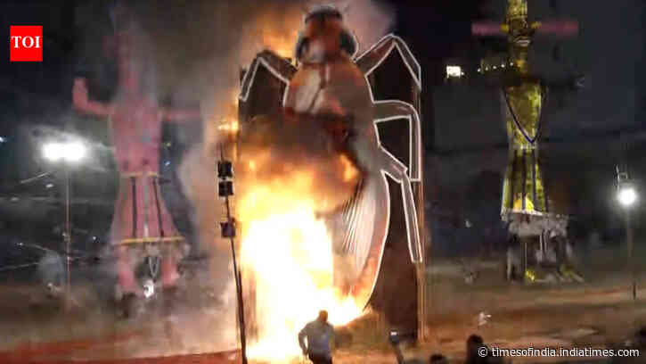 Delhi BJP leader burns giant cockroach effigy; CJP founder responds with SRK’s 'Swades' song