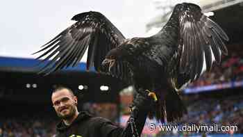 Crystal Palace urged to retire their 'frightened, disoriented and panicked' bald eagle mascot by animal rights group