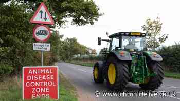 Bird flu outbreak in Northumberland confirmed with 10km surveillance zone now in place