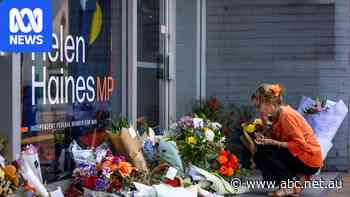 'Unsettled' MPs say security measures meant to protect them are lacking