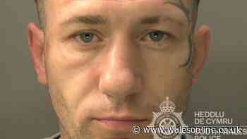 Man threw wheelie bin through Subway window