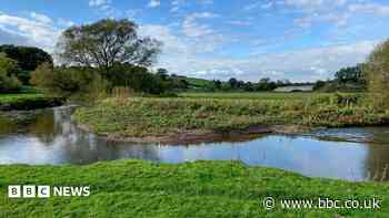 The river project that could reshape England's waterways