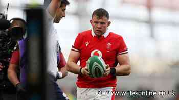 Wales' unluckiest rugby players as reasons for autumn squad snubs emerge