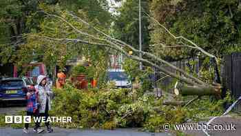 Storm Austen to bring severe gales to UK as weather warning issued