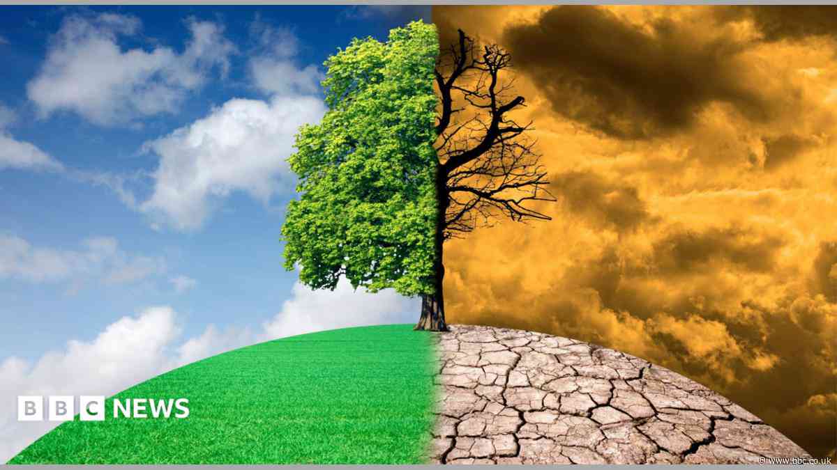 Northern Ireland needs 'courage and leadership' to tackle climate change