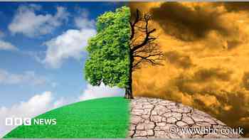 Northern Ireland needs 'courage and leadership' to tackle climate change
