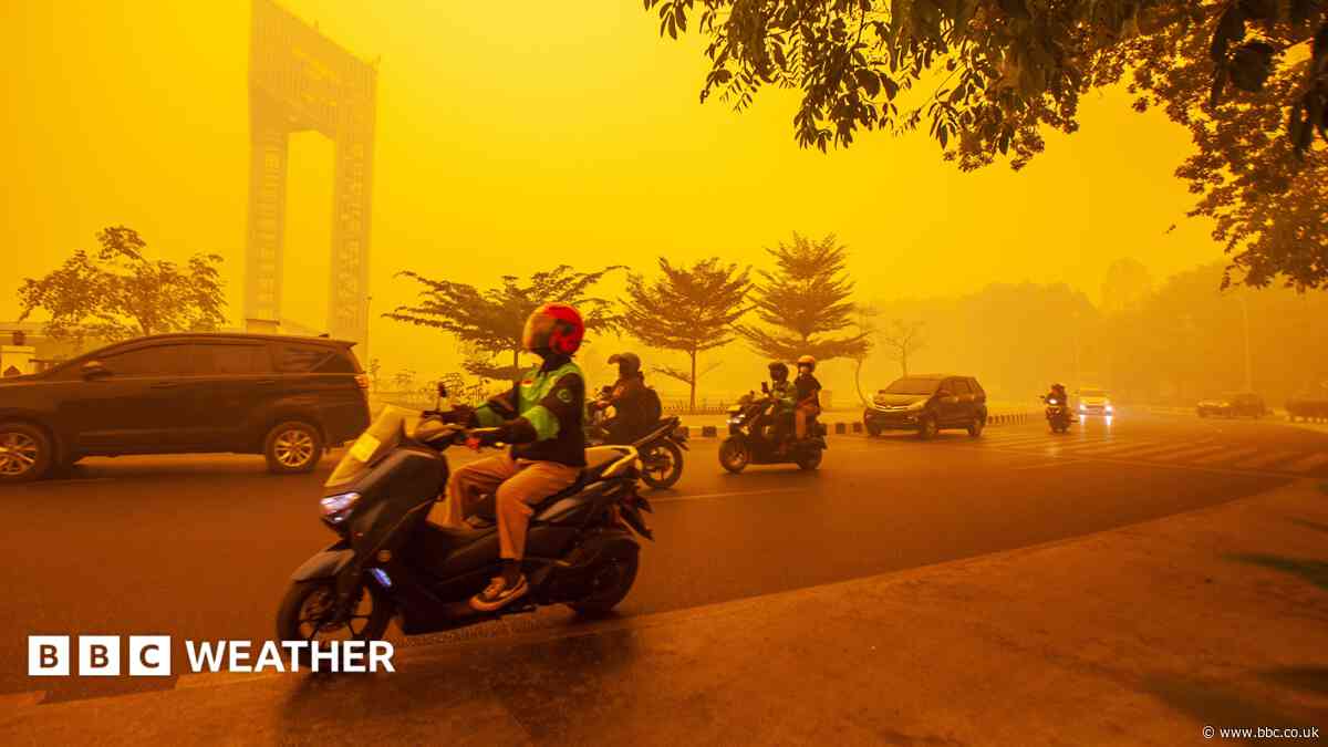 Five ways El Niño is affecting the weather around the world