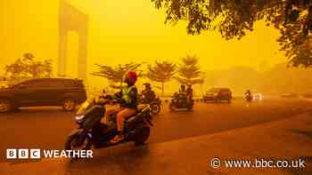 Five ways El Niño is affecting the weather around the world