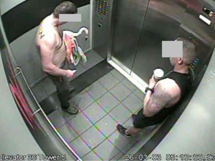 Canadian man guilty of animal cruelty after stealing a flamingo in Las Vegas as a drunken joke