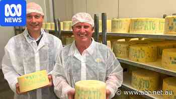 Golden North's ice cream factory starts production at new site