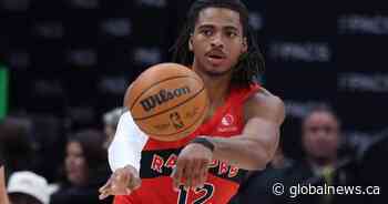 Raptors exercise options on Murray-Boyles, Walter