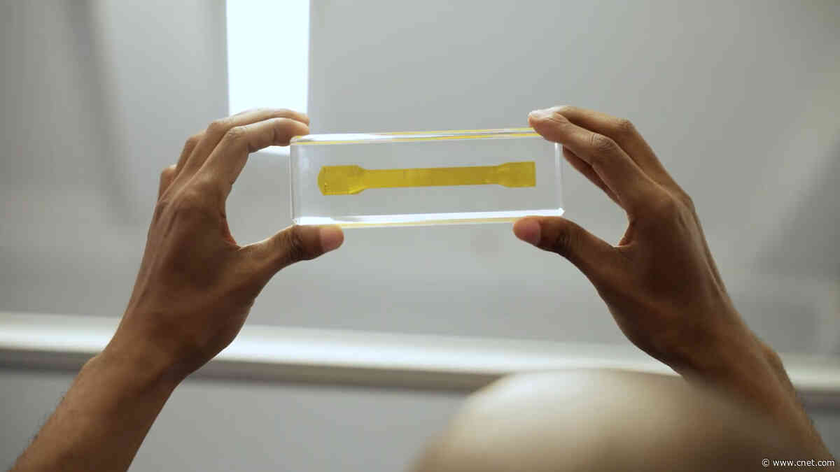 Meet the Removable Brain-Computer Implant