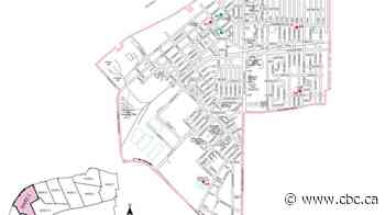If you're casting your ballot in Ward 2, here are your city council candidates