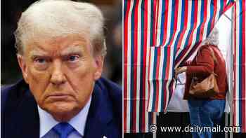 Alarm in 10 states as secret group of security officials warns Trump could send troops and ICE to polling stations