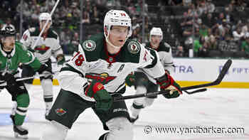 Wild Activate Nico Sturm; Reassign Hunter Haight