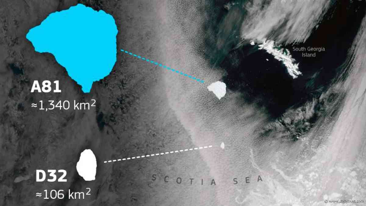 Two enormous icebergs have broken away from Antarctica and are now on a collision course with a remote British island, experts warn