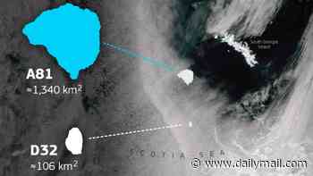 Two enormous icebergs have broken away from Antarctica and are now on a collision course with a remote British island, experts warn