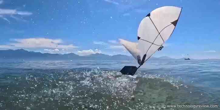 It’s a bird, it’s a plane … it’s a robo-puffin?