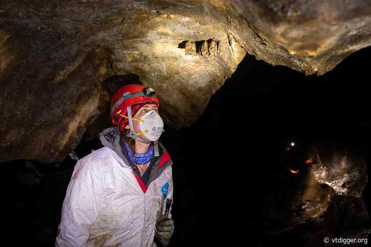 Vermont experts say bats need our help. How do we get over our fear of them?