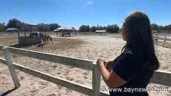 Pasco ranch founder, families asking county commissioners for help to pave Matis Road