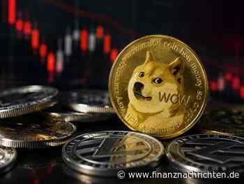 Dogecoin News Oktober 2026: Wale kaufen 600 Millionen DOGE im Stillen, doch der Kurs bewegt sich nicht