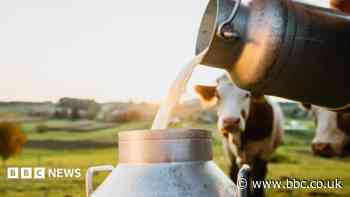 Dairy farmers still producing milk at a loss despite rising prices