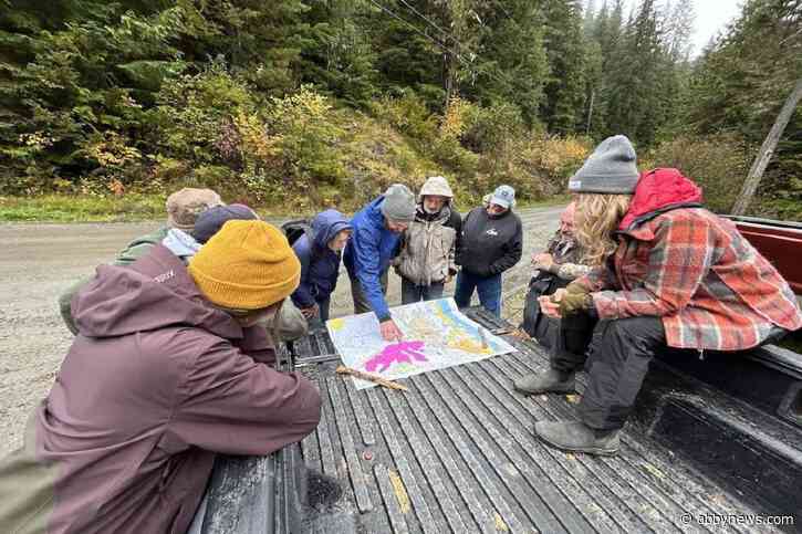 OPINION: Community forests offer a practical path forward for B.C.