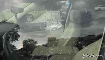 43 cars targeted in Little Italy break-in spree