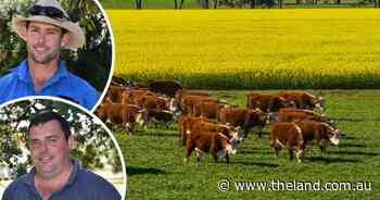Records shattered for livestock, crops, in billion-dollar production leap