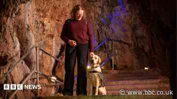 Guide dog puppies taken on cave training trip