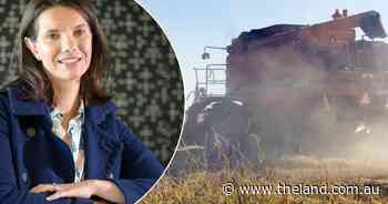 'Hundreds' of Riverina jobs at risk without urgent action, politicians warn