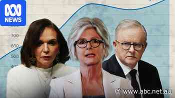 Threats up fourfold before Helen Haines attack