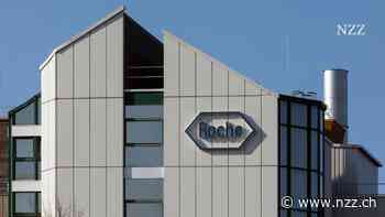 Roche setzt geplante Investitionen in Deutschland aus – lässt sich aber ein Türchen offen