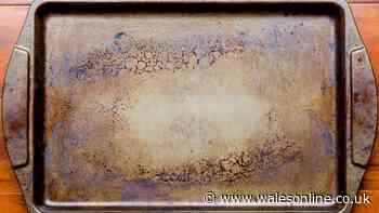 Stubborn grease will slide off baking trays when cleaned with simple homemade paste